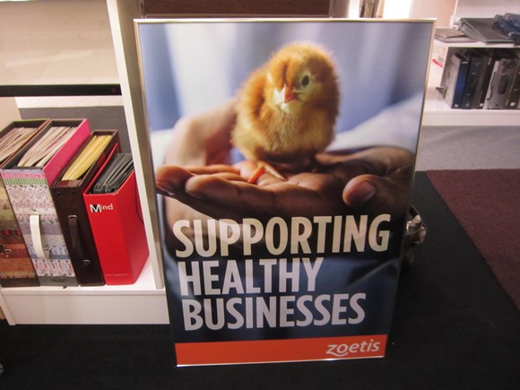 กรอบรูปอลูมิเนียมสีเงินหลังเต่า